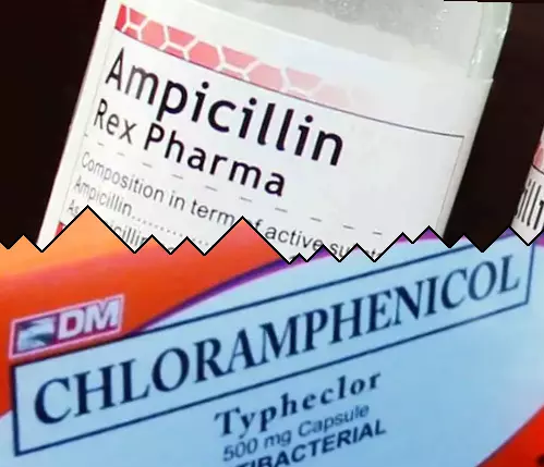Ampicillin vs Klóramfenikol