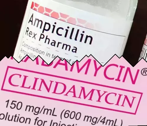 Ampicillin vs Klindamicin