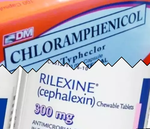 Klóramfenikol vs Cefalexin